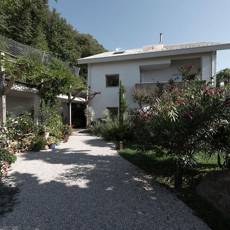 La Loggia Georg Apartamento Pianizza di Sopra Exterior foto